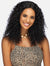 Vivica A Fox  Wet & Wavy 100% Brazilian Human Hair HD Lace Front Wig - WW-DW