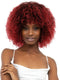 Janet Collection Natural Afro LEON Wig