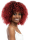 Janet Collection Natural Afro LEON Wig