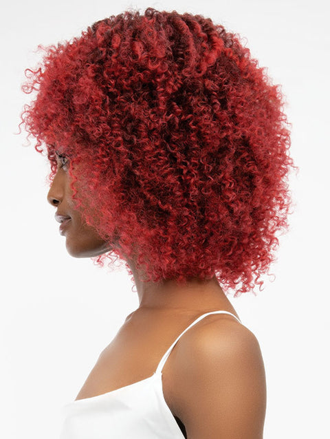 Janet Collection Natural Afro LEON Wig
