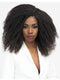 Janet Collection Encore Lavie 4C AFRO KINKY Clip In Hair 12 8pc