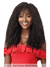 Outre X-Pression Twisted Up 2X WATERWAVE FRO TWIST Crochet Braid 22