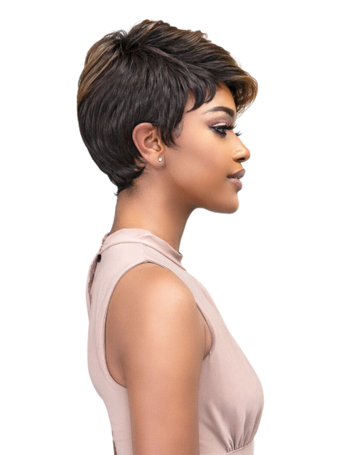 SALE! Femi Collection Ms Auntie Premium Synthetic Wig - DEBORA
