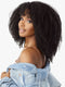 Sensationnel Premium Synthetic CURLS KINKS & CO_CLIP-IN OVER ACHIEVER 10"
