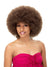 Femi Collection Premium Synthetic Wig - AFRO