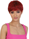 Beshe Ultimate Insider Collection Synthetic Wig -AINA
