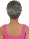 Beshe Ultimate Insider Collection Synthetic Wig -AINA