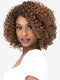 SALE! Janet Collection Natural Curly Aubrey Wig