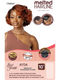 Outre Melted Hairline Premium Synthetic Glueless AYDA  HD Lace Front Wig