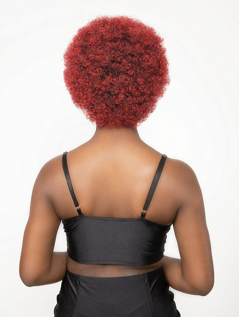 Janet Collection Natural Premium Synthetic Wig - AFRO CADY