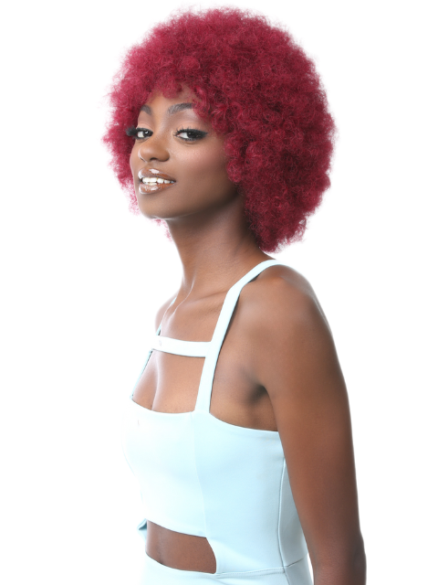 It's a Wig 100% Human Hair Full Wig - HH AFRO WIG 2