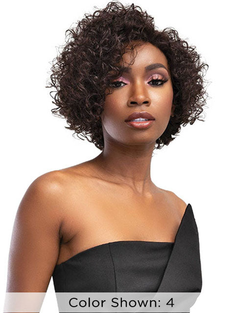 Femi Collection Ms Auntie Premium Synthetic Wig - LEXI