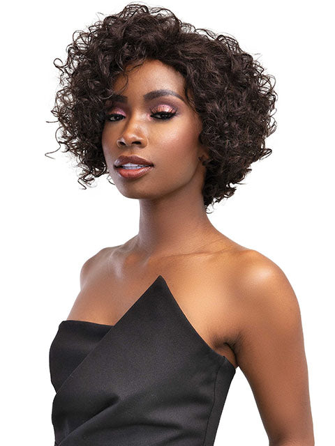 Femi Collection Ms Auntie Premium Synthetic Wig - LEXI