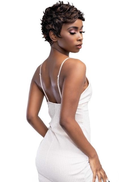 Femi Collection Ms Auntie Premium Synthetic Full Wig - ECHO