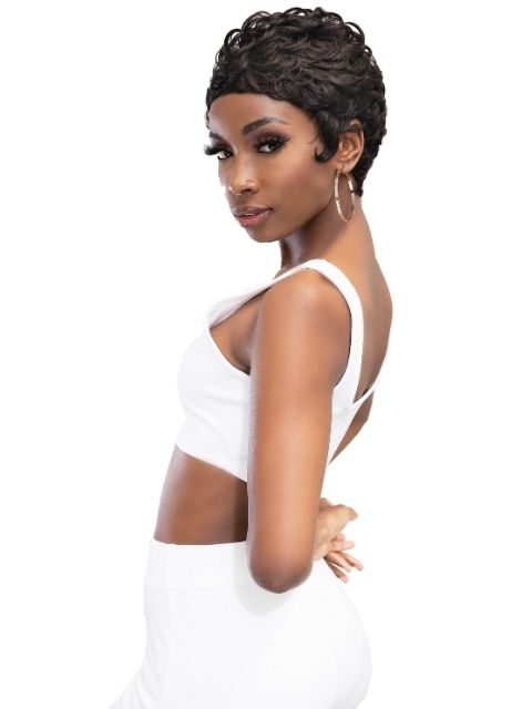Femi Collection Ms Auntie Premium Synthetic Full Wig - ERIN