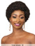 Femi Collection Ms Auntie Premium Synthetic Wig - AFRO OBA WIG