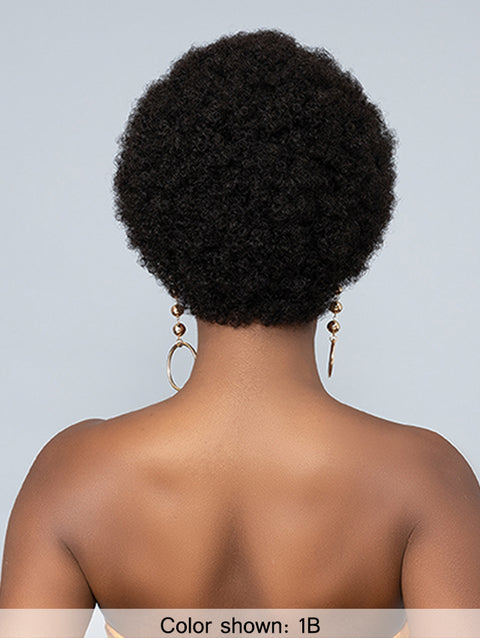 Femi Collection Ms Auntie Premium Synthetic Wig - AFRO OBA WIG