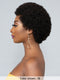 Femi Collection Ms Auntie Premium Synthetic Wig - AFRO OBA WIG