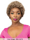 Femi Collection Ms Auntie Premium Synthetic Wig - AFRO OBA WIG