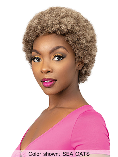 Femi Collection Ms Auntie Premium Synthetic Wig - AFRO OBA WIG