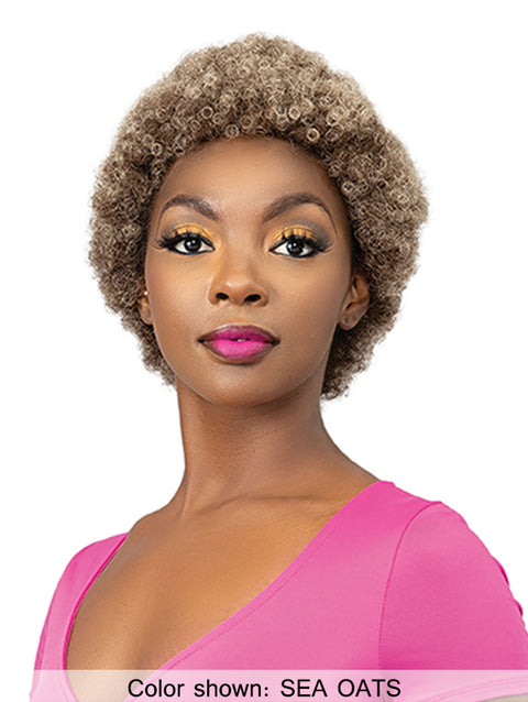 Femi Collection Ms Auntie Premium Synthetic Wig - AFRO OBA WIG
