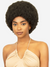 R&B RJ Park Human Hair Blend PARK-AFRO Wig