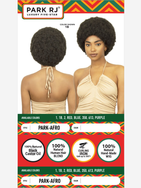 R&B RJ Park Human Hair Blend PARK-AFRO Wig