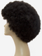 R&B RJ Park Human Hair Blend PARK-AFRO Wig