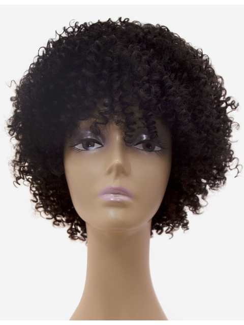 R&B RJ Park Human Hair Blend PARK BIBI Wig