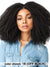 Sensationnel Empress Curls Kinks & Co Lace Front Wig - GAME CHANGER