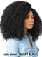 Sensationnel Empress Curls Kinks & Co Lace Front Wig - GAME CHANGER