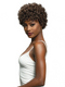 Janet Collection Lavish 100% Virgin Human Hair Wig - DARCIE