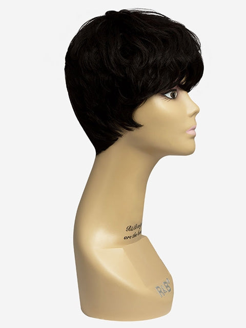R&B Collection 100% Unprocessed Brazilian Virgin Remy Human Hair Wig - PA-5AVE