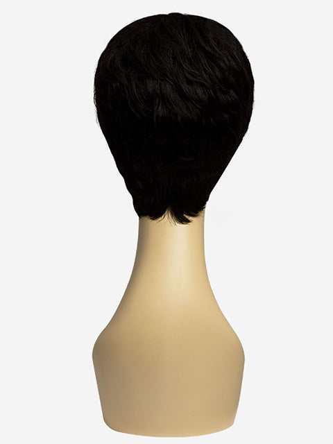 R&B Collection 100% Unprocessed Brazilian Virgin Remy Human Hair Wig - PA-5AVE