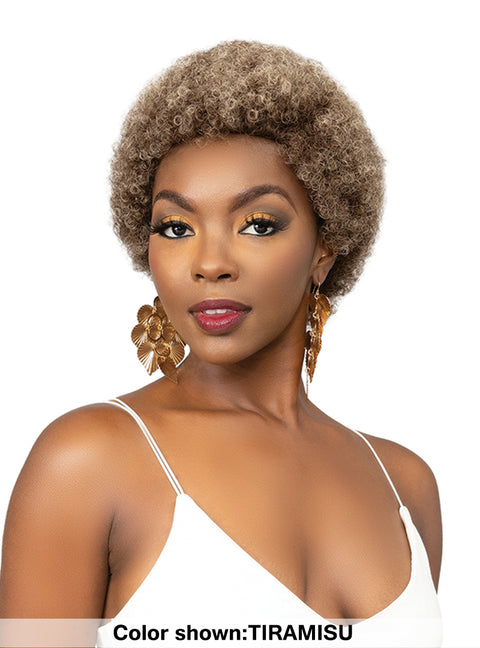 Janet Collection Premium Synthetic Natural Curly Wig - AFRO ABBO