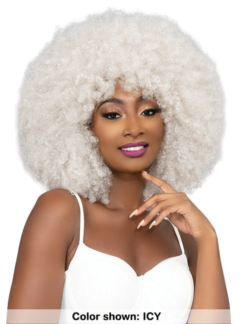 Janet Collection Premium Synthetic Natural Curly Wig - AFRO BADU