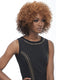 Harlem 125 Bohemian Premium Synthetic Wig - BO104