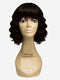 R&B Collection 100% Unprocessed Brazilian Virgin Remy Human Hair Wig - PA-DANA