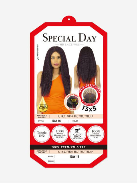 R&B Collection Human Hair Blended Lace Wig - DAY 16