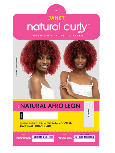 Janet Collection Natural Afro LEON Wig