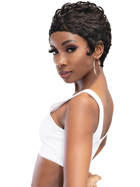 Femi Collection Ms Auntie Premium Synthetic Wig - ERIN