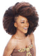 Janet Collection Noir 2X AFRO KINKY  Bulk 24 AFKB24