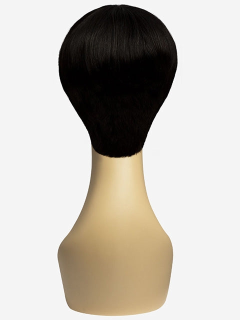 R&B Collection 100% Unprocessed Brazilian Virgin Remy Human Hair Wig - PA-ALYSSA