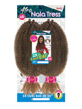 Janet Collection Nala Tress 2X CURL BAE 4B Crochet Braid 24