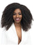 Janet Collection Encore Lavie 4C AFRO KINKY Clip In Hair 12 8pc