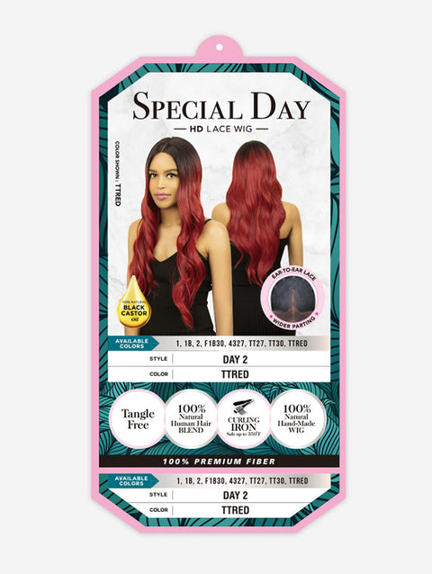 R&B Collection Human Hair Blended Lace Wig - DAY 2