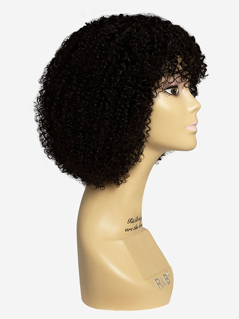 R&B Collection 100% Unprocessed Brazilian Virgin Remy Human Hair Wig - 2H-EVE