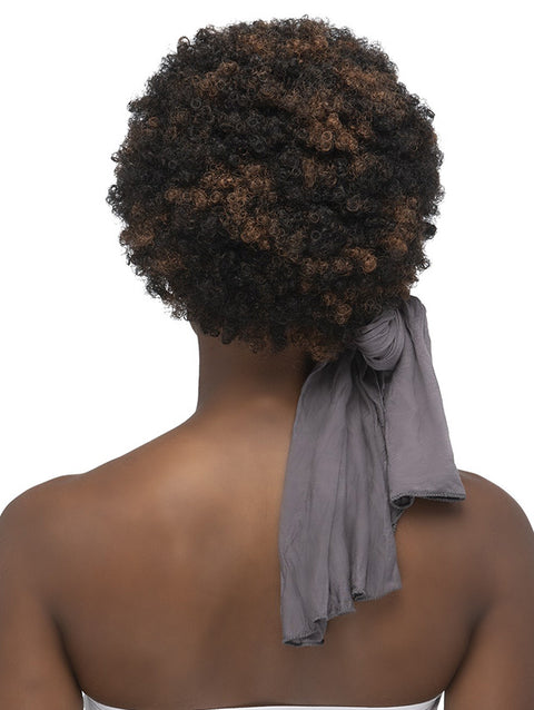 Vivica A Fox Premium Synthetic Headwrap HWR EVERLY Wig