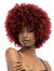 Janet Collection Natural Afro KANE Wig