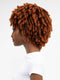 Janet Collection Natural Afro KANE Wig